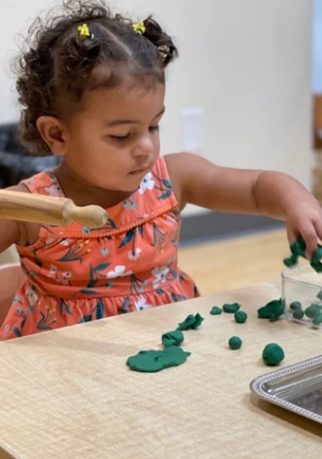 Toddler class